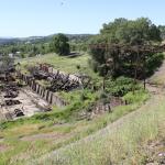 IMG_7723 (May 28, 2024)